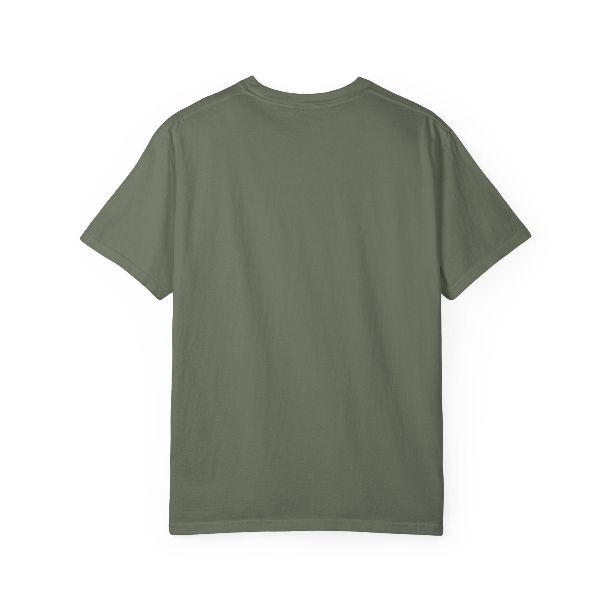 Dog Hair Don't Care- Funny Dog Lover Unisex Garment- Dyed T-shirt